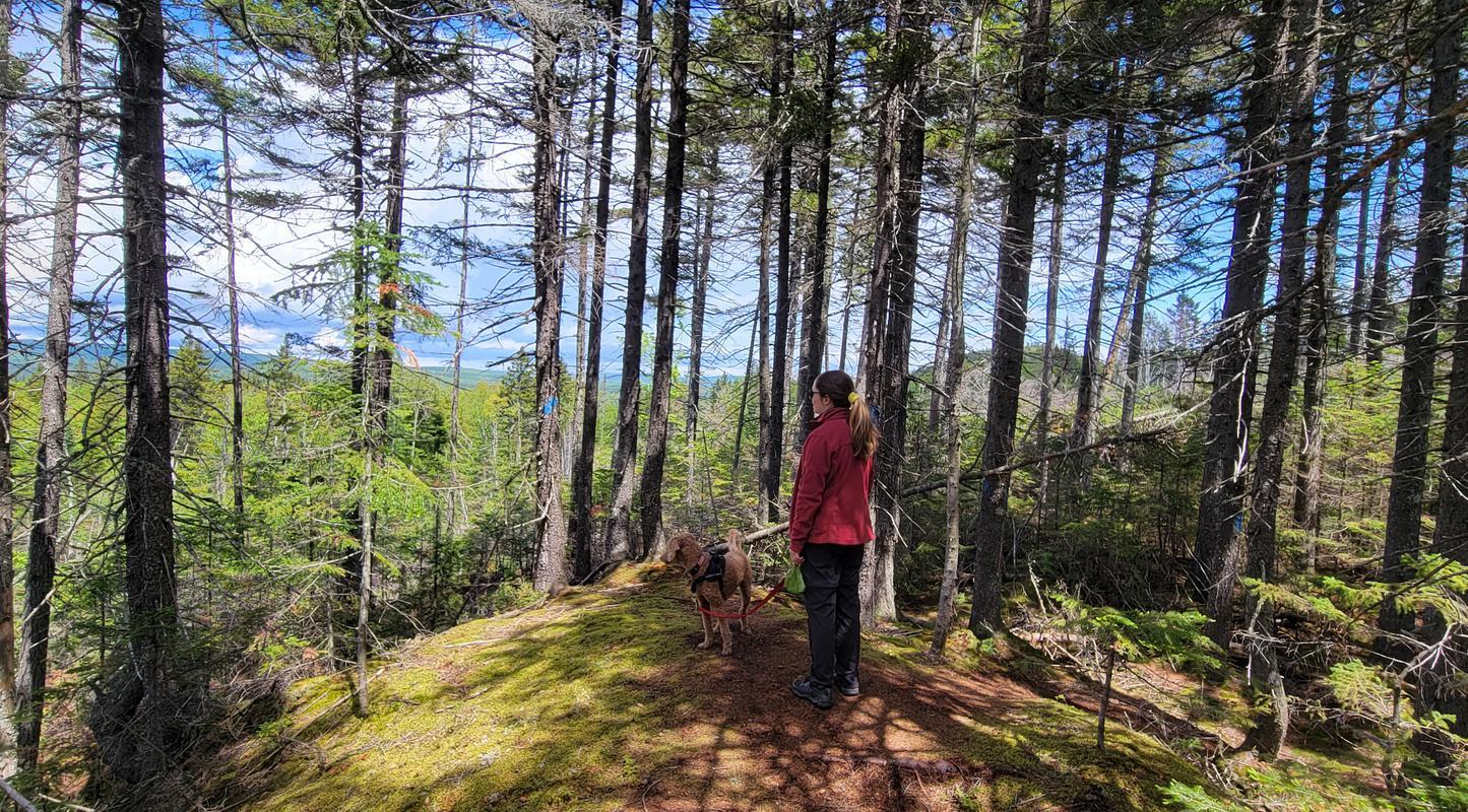 Les voyageuses du Québec et la découverte de Chaudière Appalaches avec