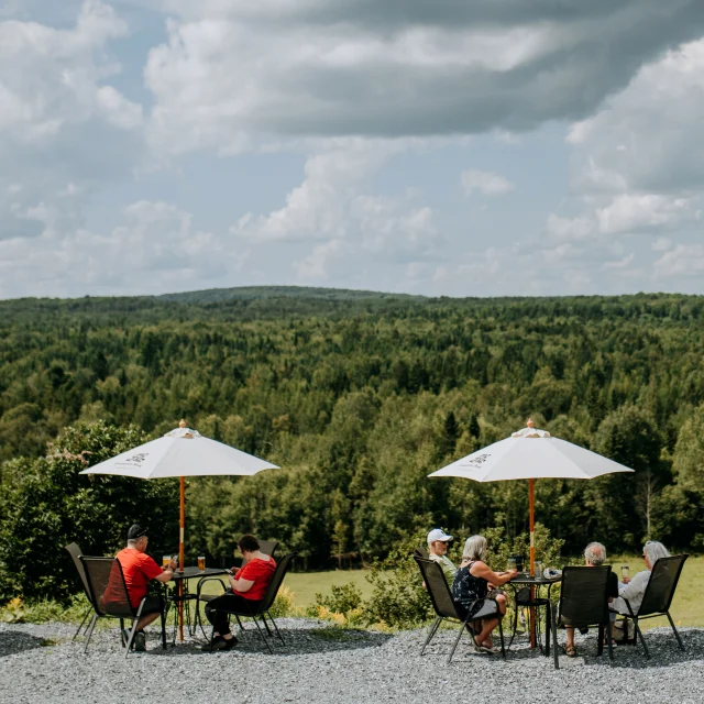 Panoramic view from the terrace of Frampton Brasse in Frampton