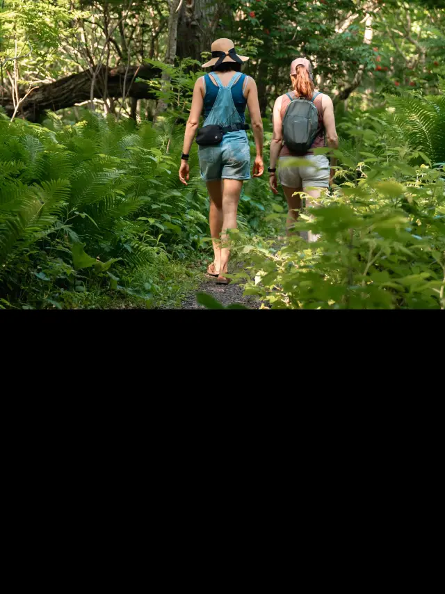 People taking a walk in the Jean-Paul-Riopelle nature reserve west of Isle-aux-Grues