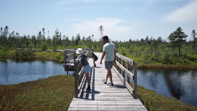 Family walk on the Grande Plée Bleue trail in Lévis