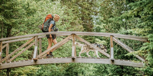 Hiker on a footbridge with her dog at Parc des Appalaches | Sainte-Lucie-de-Beauregard