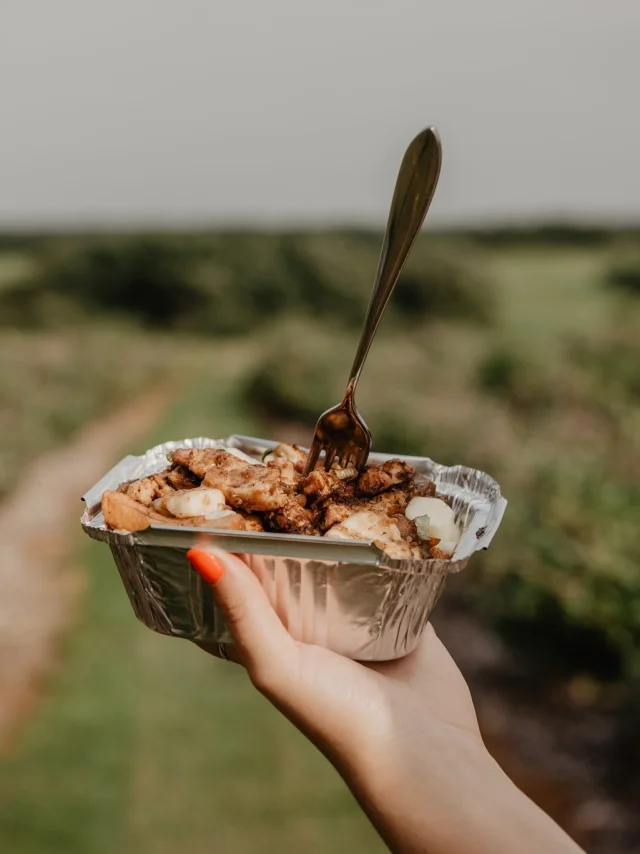 Poutine du Foodtruck des Bleuets du Vire-Crêpes à Lévis
