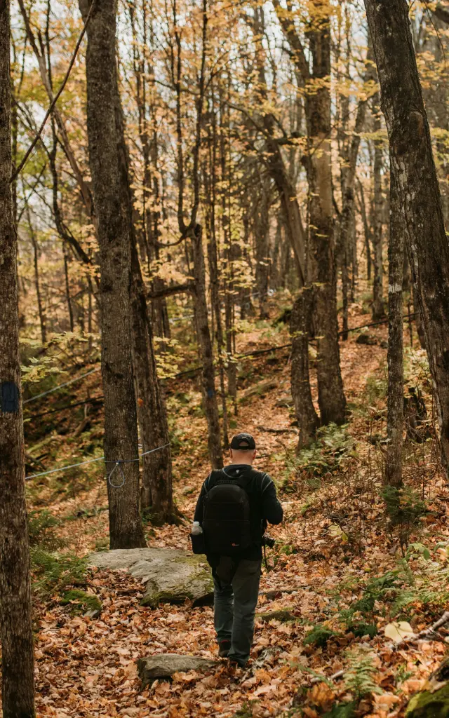 Randonneur dans un sentier pédestre à l'automne au Parc des Appalaches à Sainte-Ludie-de-Beauregard