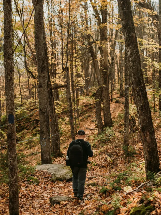 Parc Des Appalaches Montmagny Et Les Iles Autumn 2020 Stephanie Allard Tca 9