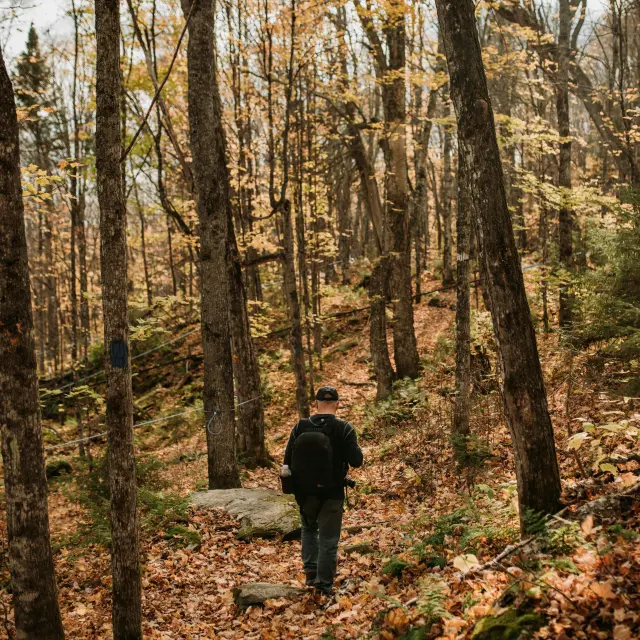 Parc Des Appalaches Montmagny Et Les Iles Autumn 2020 Stephanie Allard Tca 9