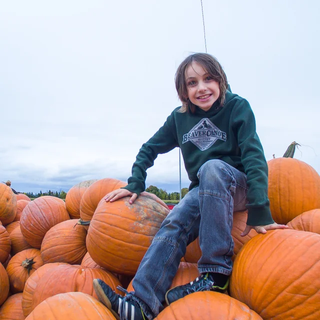 Cueillette de citrouilles au Potager Yvanohé à Saint-Henri