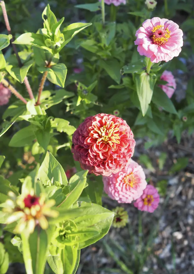 P9130240