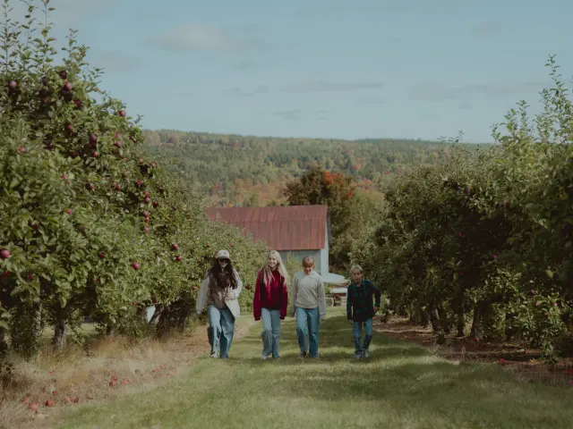 Des enfants cueillent des pommes, Verger Custeau | Kinnear's Mills