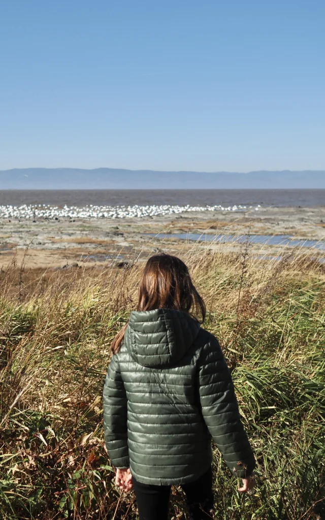 Enfant appréciant la vue du fleuve et des oies à partir du Parc des Trois-Bérêts à Saint-Jean-Port-Joli