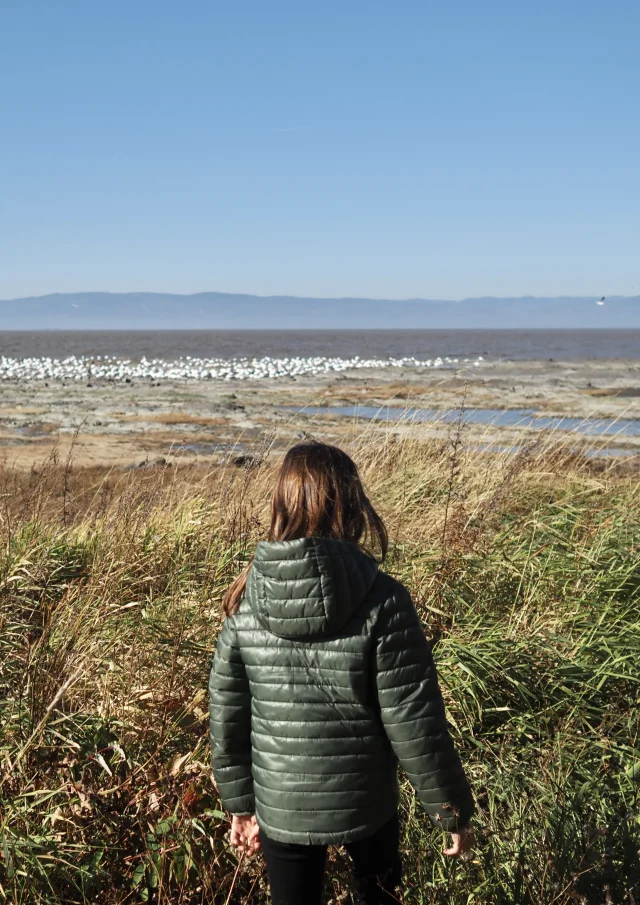 Enfant appréciant la vue du fleuve et des oies à partir du Parc des Trois-Bérêts à Saint-Jean-Port-Joli
