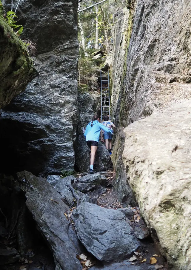 Frère et soeur dans le parcours des Abris-sous-roche au Parc du Massif du Sud à Saint-Philémon