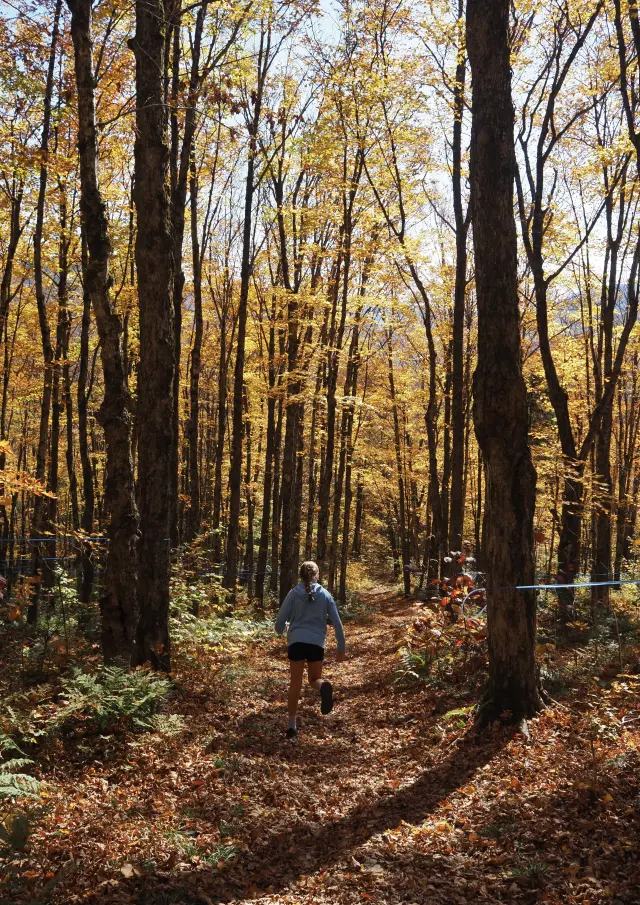 Jeune fille dans le parcours des Abris-sous-roche au Parc du Massif du Sud à Saint-Philémon