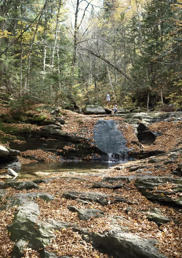 Frère et soeur dans le Sentier des Bassins au Parc du Massif du Sud à Saint-Philémon