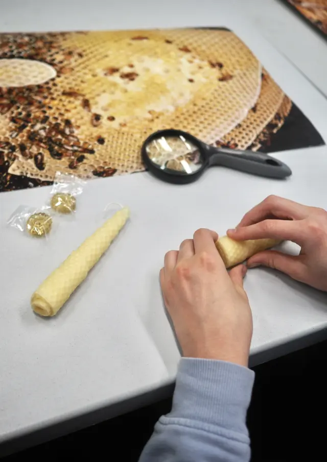 Jeune fille découvrant l'exposition temporaire 'Abeilles' du Musée Minéro à Thetford Mines