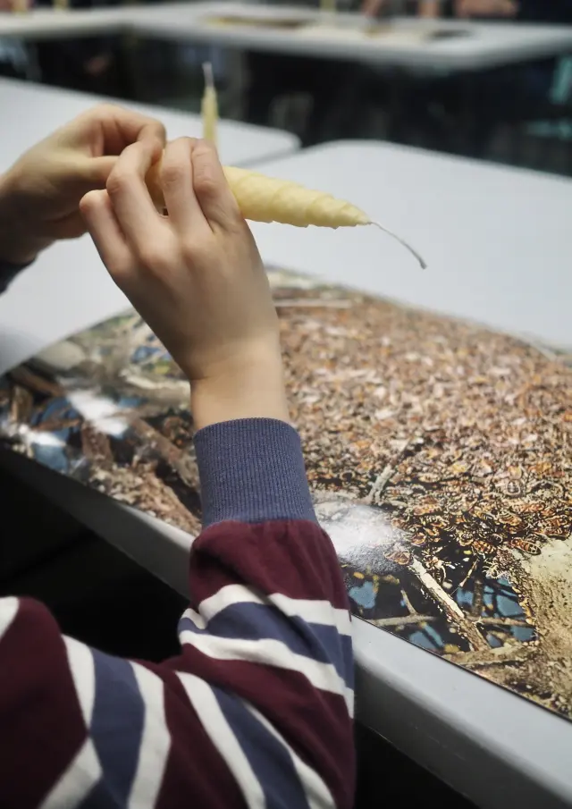 Jeune fille découvrant l'exposition temporaire 'Abeilles' du Musée Minéro à Thetford Mines