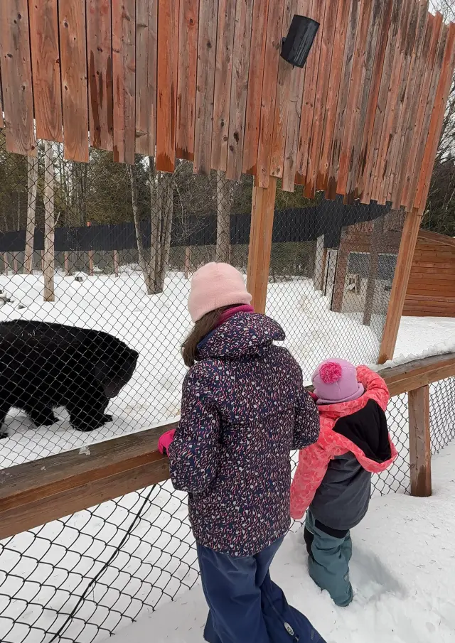 Enfants à la découverte du Miller Zoo de Frampton en mode hiver
