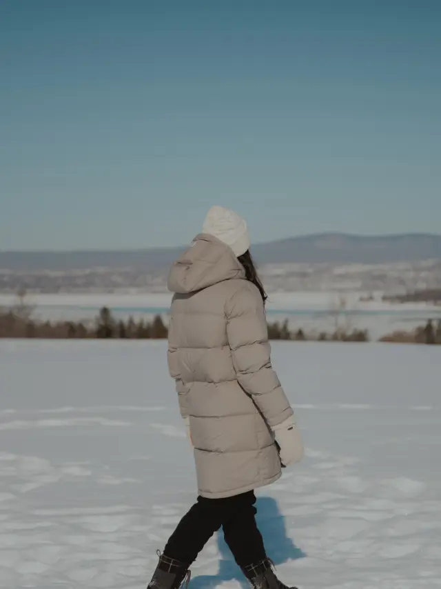 Marche hivernale dans les sentiers du Parc Pointe-de-la-Martinière | Lévis