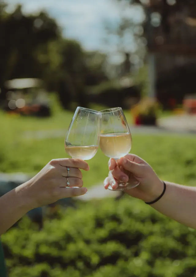 Dégustation de vins naturels dans les champs au Domaine des Feux Follets | Berthier-sur-Mer