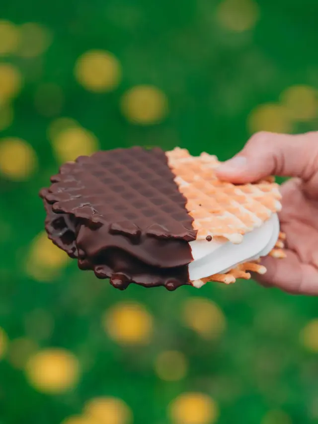Bleuetière Marland – Sandwich glacé gaufre