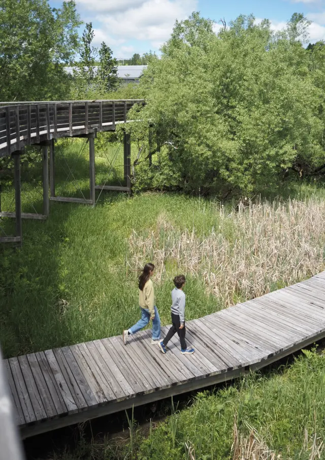 Enfants se promenant dans les sentiers, Domaine Taschereau-Parc Nature | Sainte-Marie