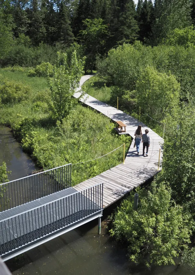 Enfants se baladant dans les sentiers, Domaine Taschereau-Parc Nature | Sainte-Marie