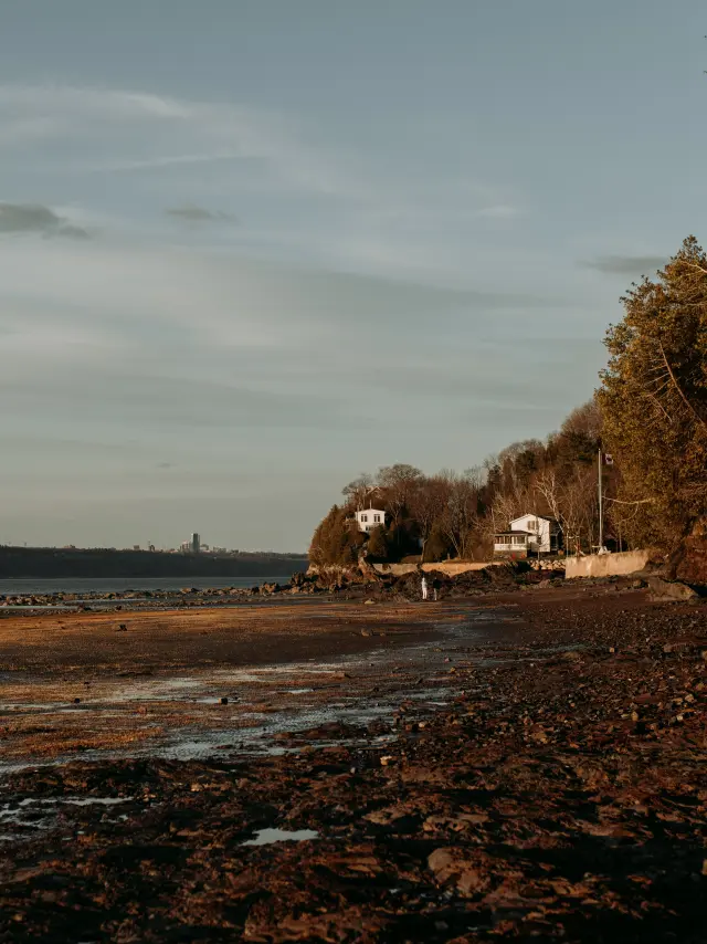 L'Anse Ross à marée basse, Anse Ross | Lévis