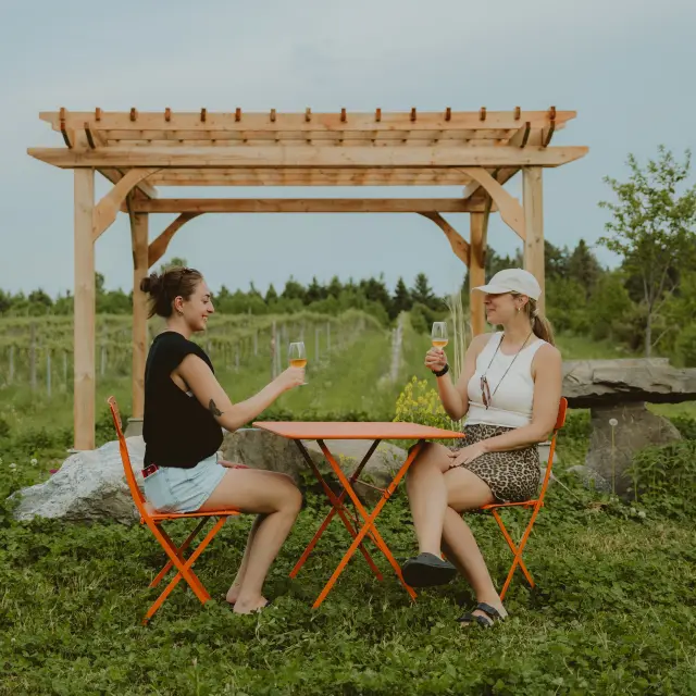 Apéro dans les champs au Domaine des Feux Follets | Berthier-sur-Mer