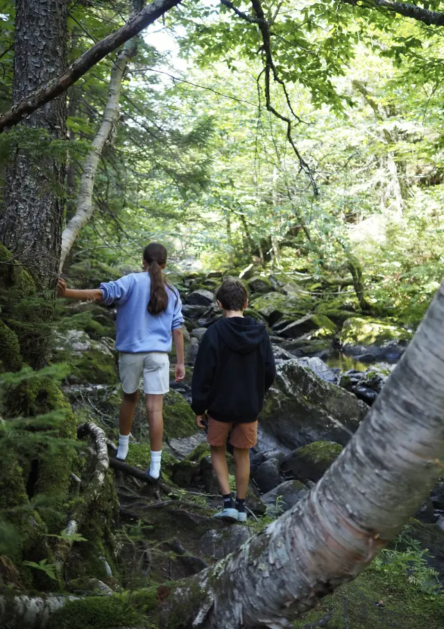Parc des Appalaches