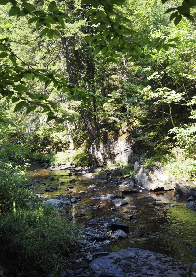 Parc des Appalaches