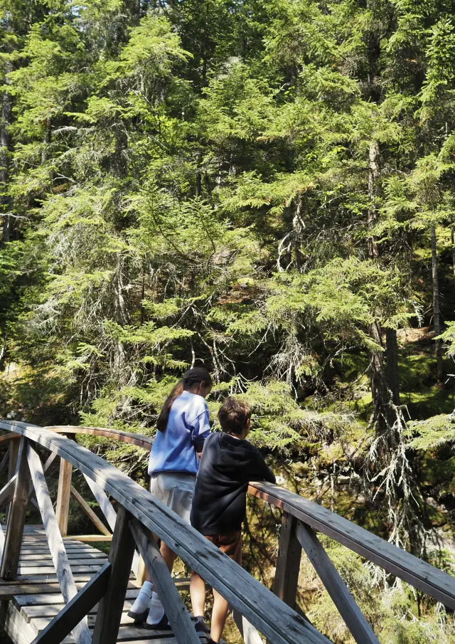 Parc des Appalaches