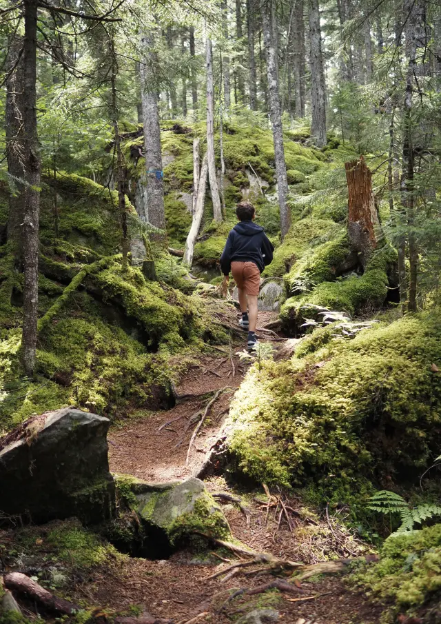 Parc des Appalaches