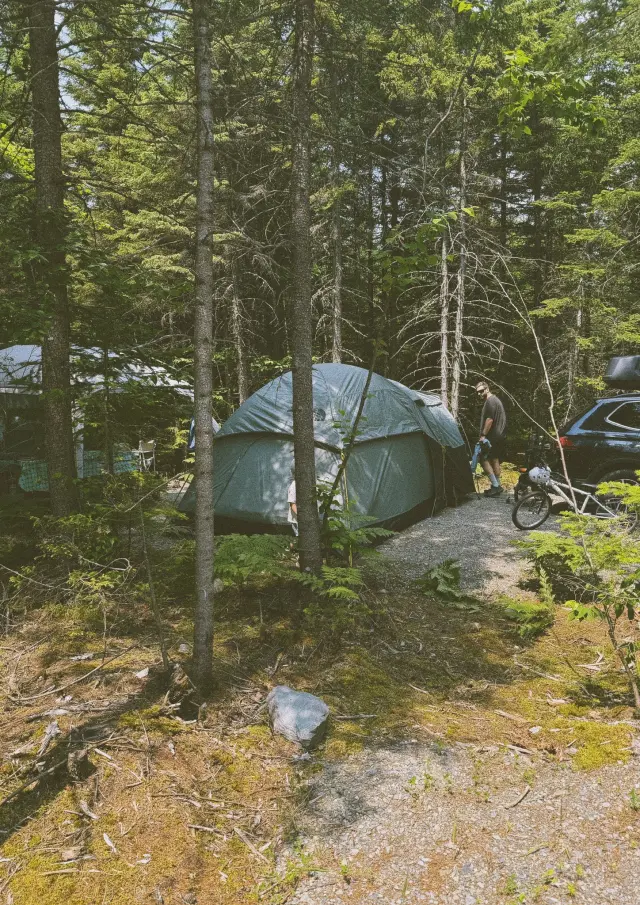 Camping Mont-Sugar Loaf- Parc des Appalaches