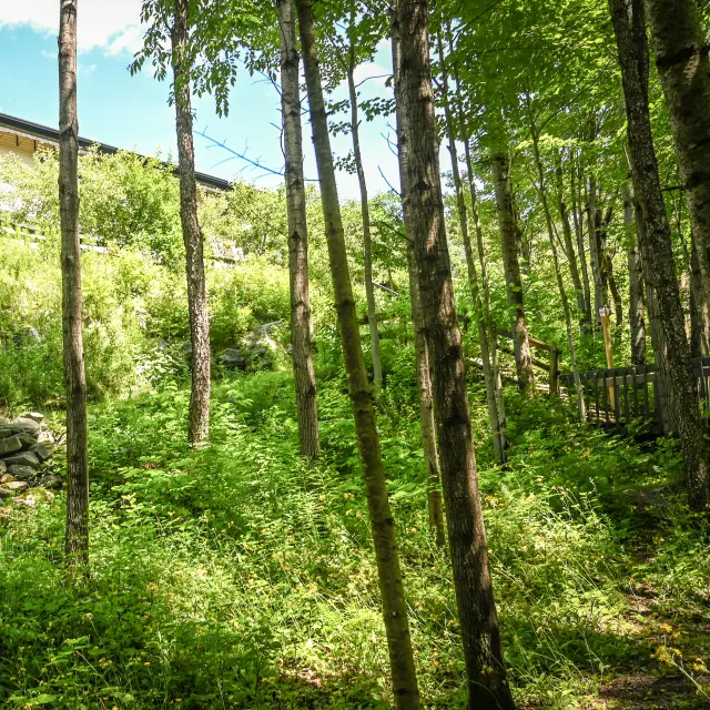 Environnement extérieur au Riverstone Complexe Nature Détente à Saint-Pierre-de-Broughton