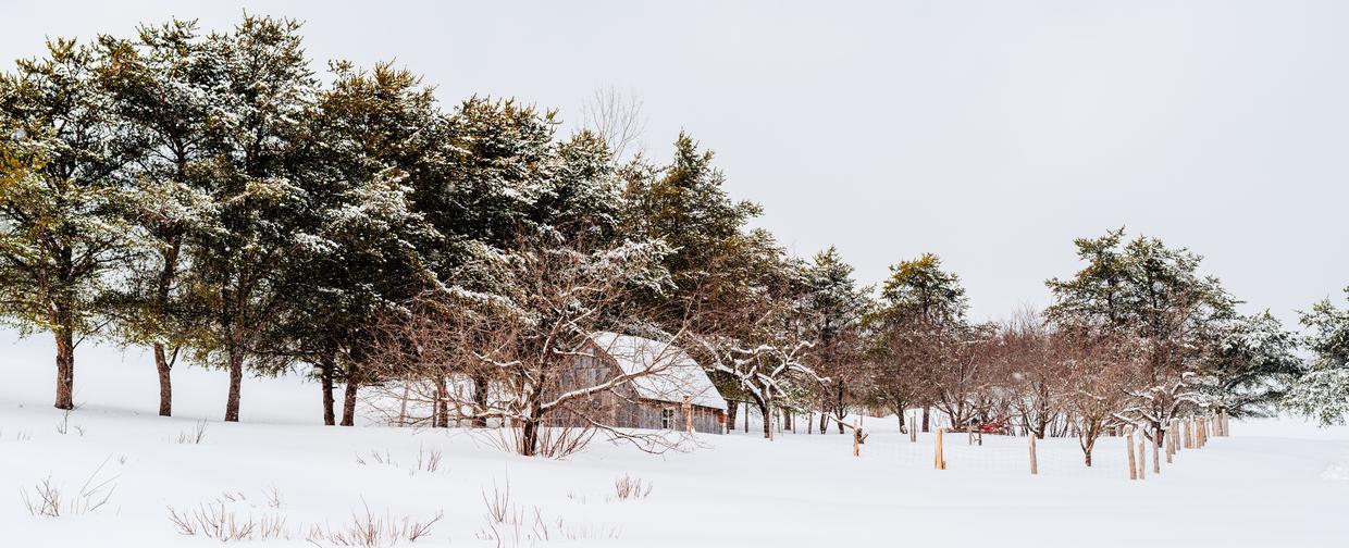 Serie Cocooning Hivernal Un Week End Chez Cassis Et Melisse Photos