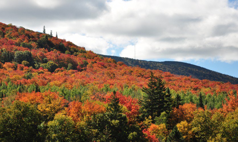 Parc régional du Massif du Sud - Hiking à Saint-Philémon - Bellechasse