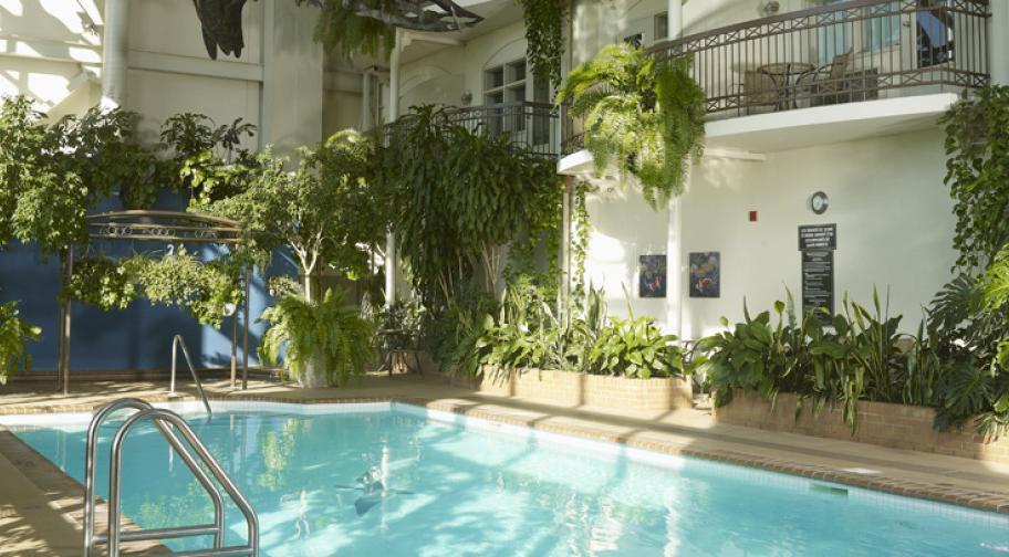 Hôtel L'Oiselière Lévis - Jardin intérieur avec piscine