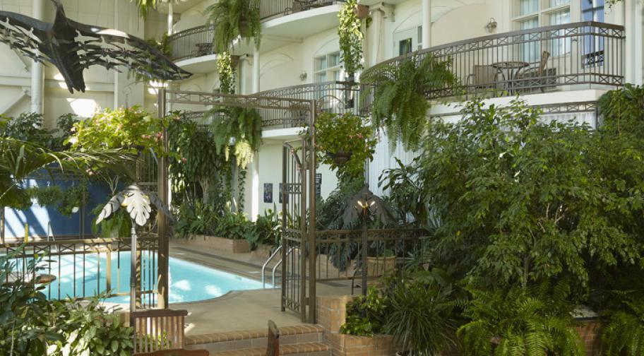 Hôtel L'Oiselière Lévis - Jardin intérieur avec piscine