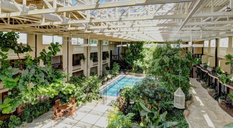 Hôtel L'Oiselière Montmagny - Jardin tropical intérieur