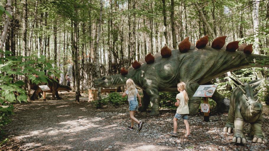 Woodooliparc - Vol 315, L'ère Des Dinosaures - Parcs D'amusement à ...